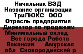 Начальник ВЭД › Название организации ­ ТриЛЮКС, ООО › Отрасль предприятия ­ Директор по продажам › Минимальный оклад ­ 1 - Все города Работа » Вакансии   . Амурская обл.,Сковородинский р-н